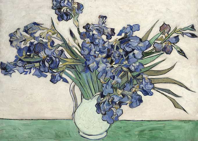 Irises