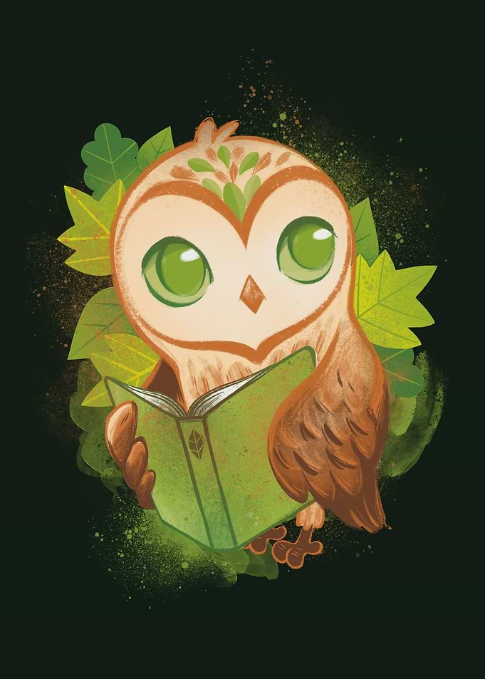 Book Owl