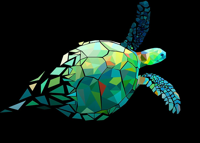 Turtle