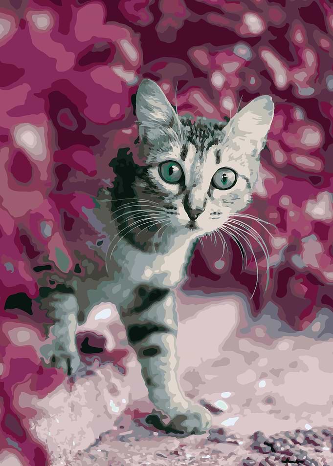 Cute Cat Color Mix