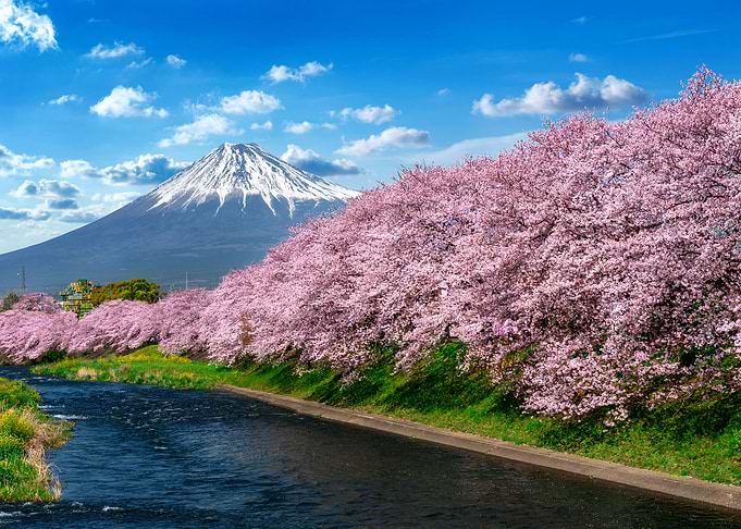 Landscapes