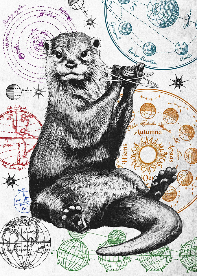 Astronomy Otter W