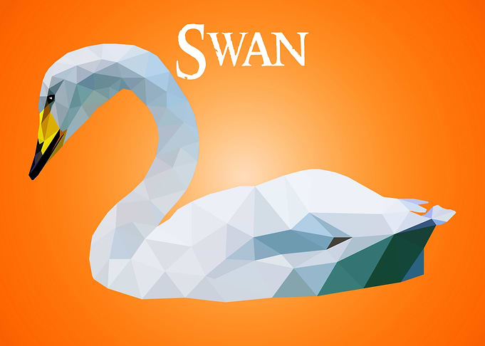 Swan
