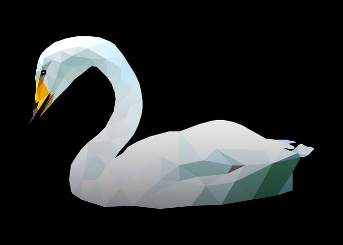Swan
