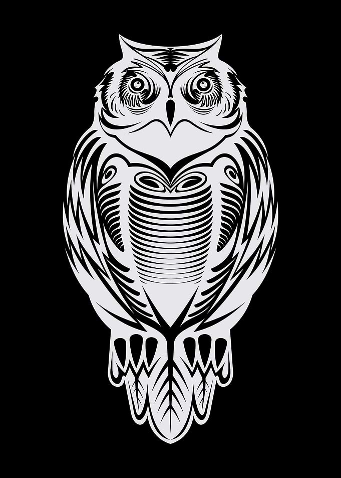 Owl Lovers Art 32