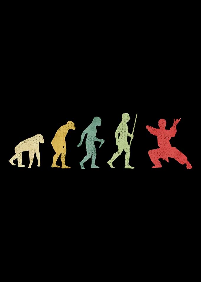 Martial Arts Evolution