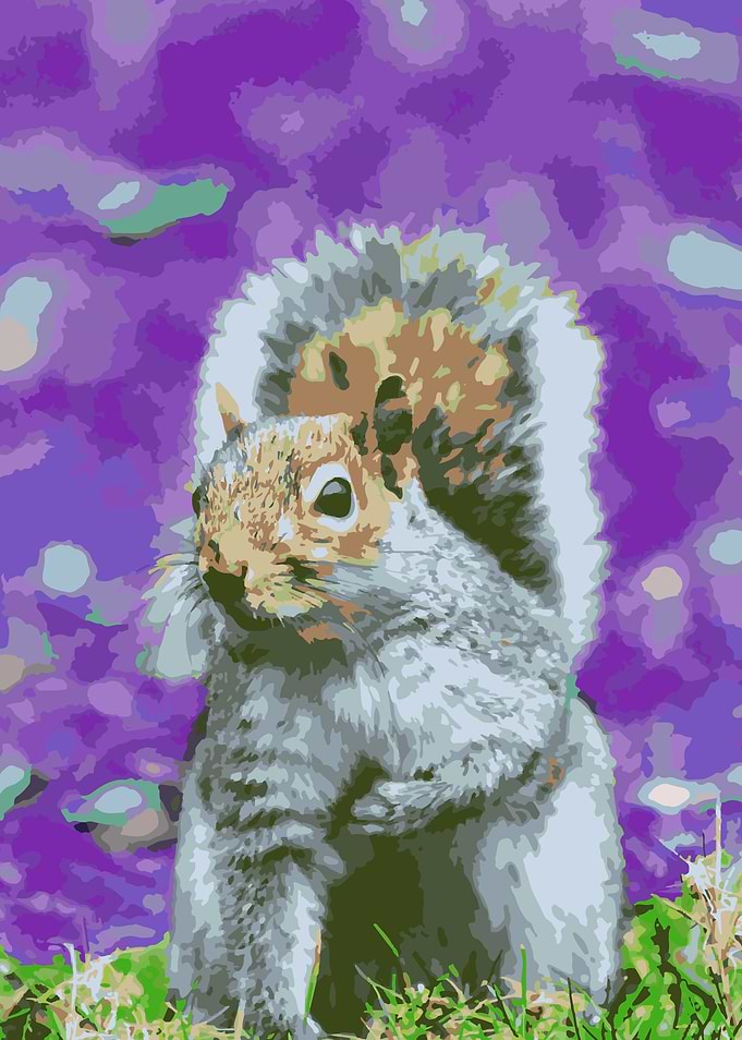 Cute Squirrel Color Mix