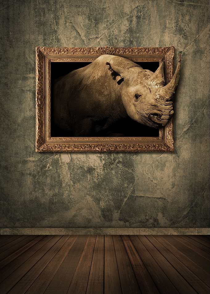 Black Rhyno