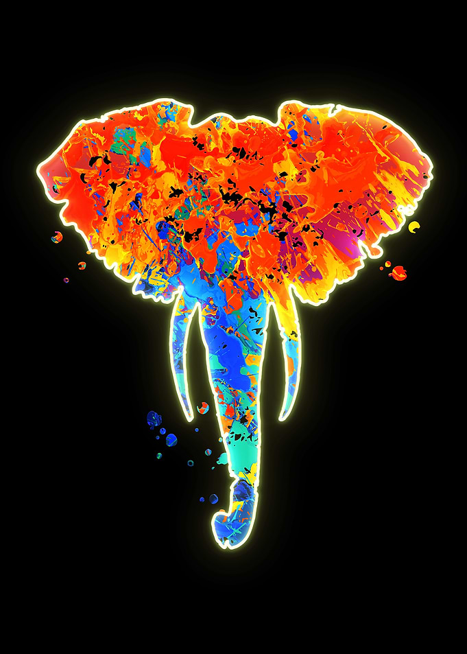 Elephant Head