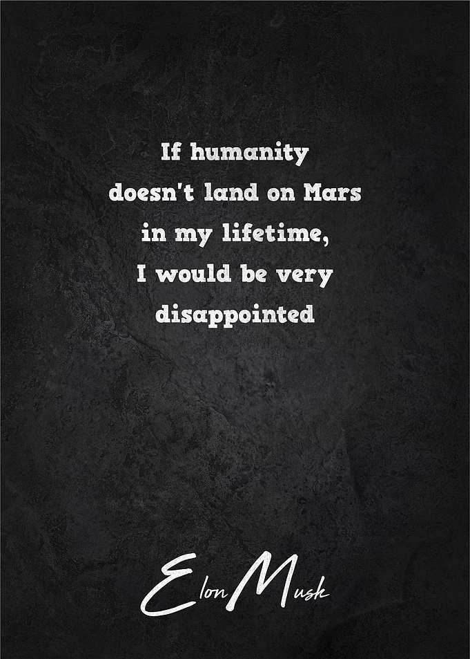 Elon Musk Quotes