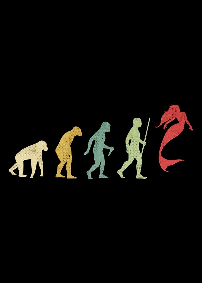 Mermaid Evolution