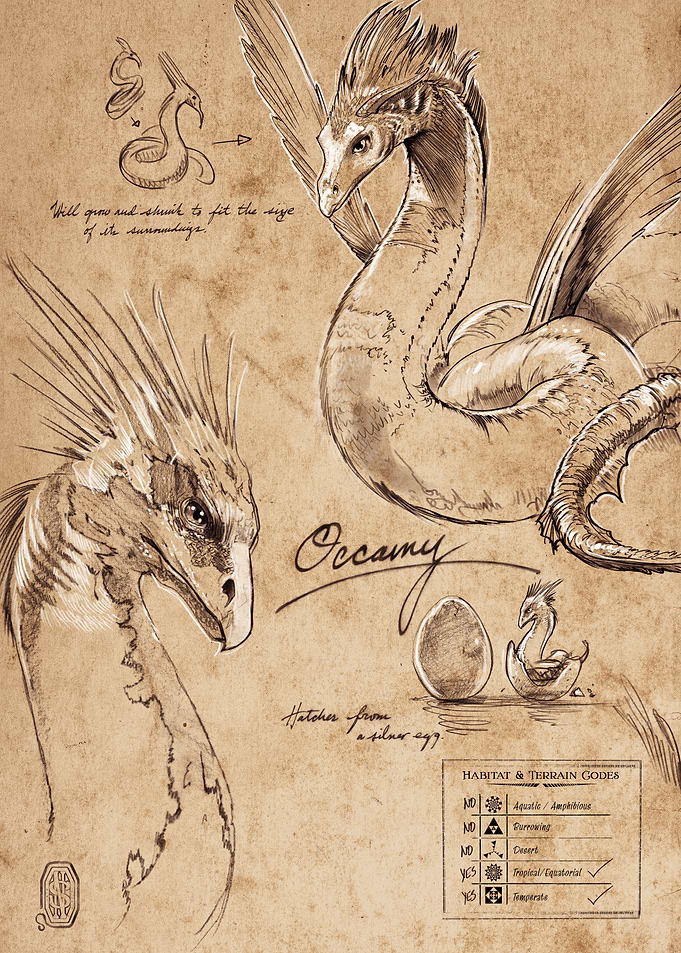 Occamy Note