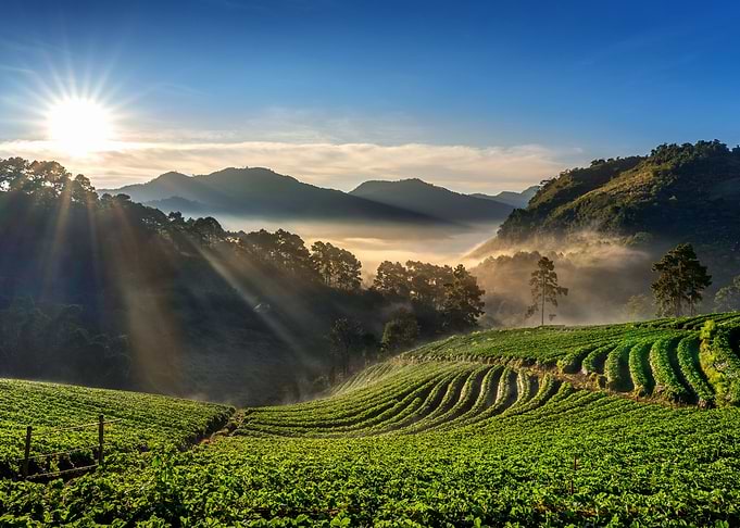 Landscapes