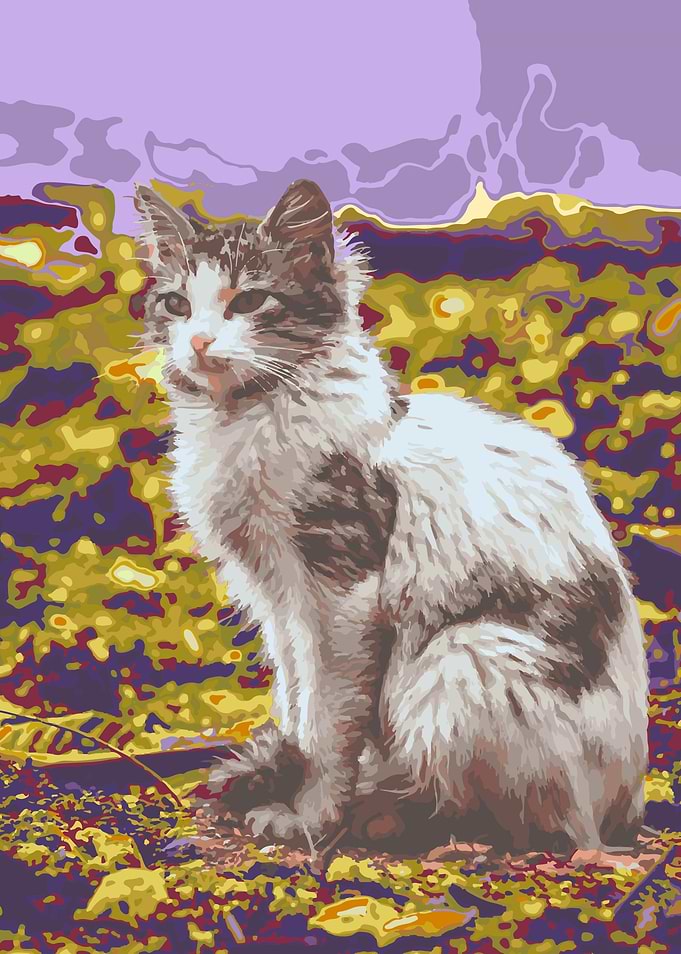 Cute Cat Color Mix