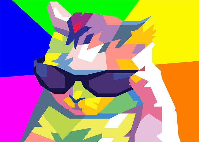 Cool cat meme