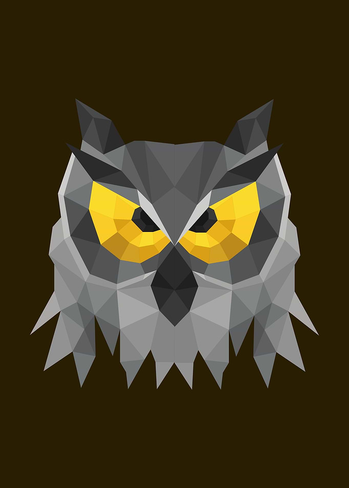 Owl Lovers Art 36
