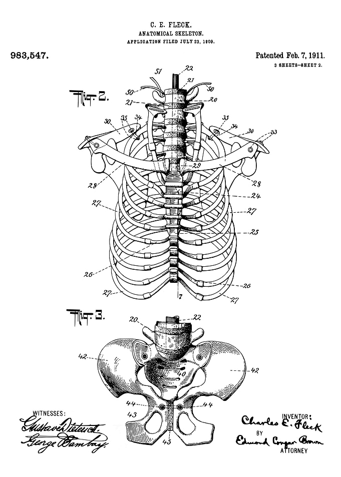 Skeleton patent