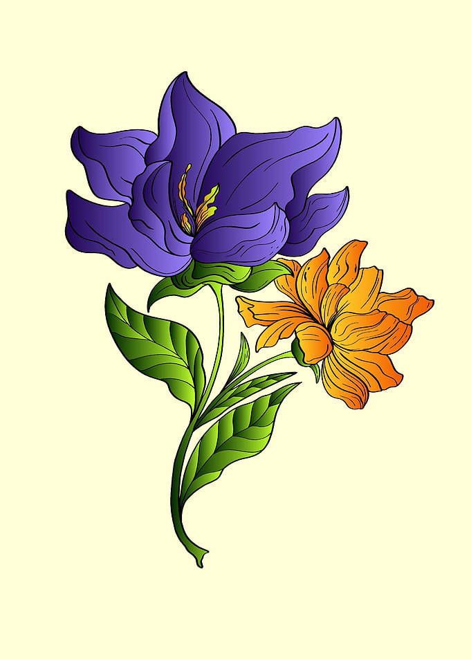Purple lily