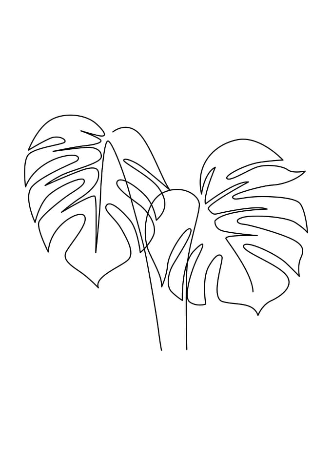 Floral Monstera One Line