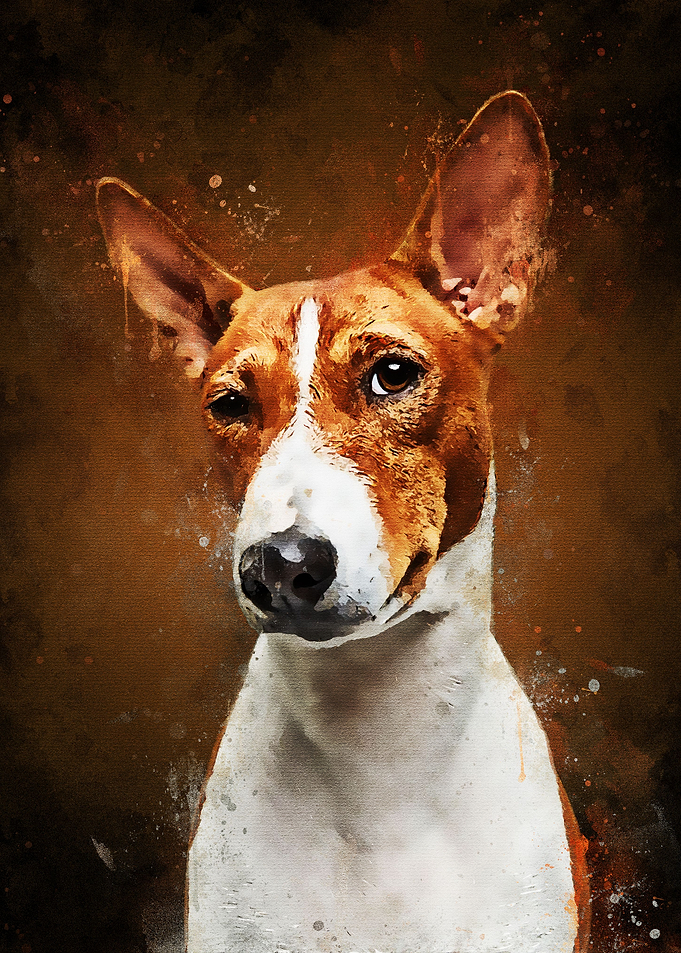 Splatter Face Dog