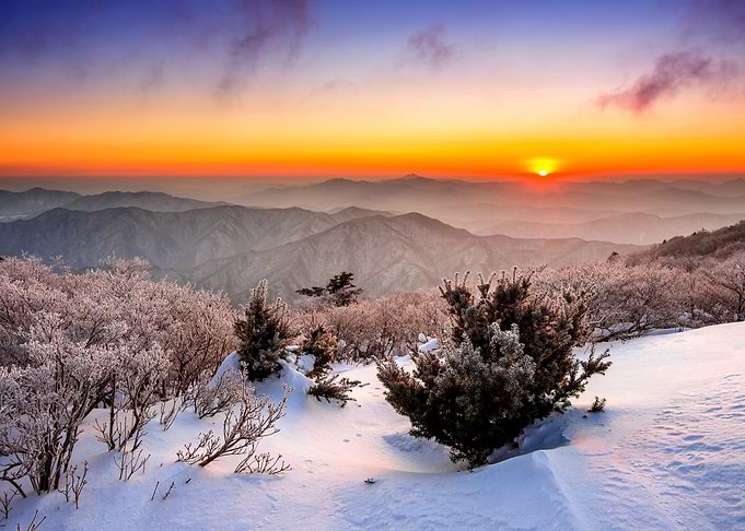Landscapes