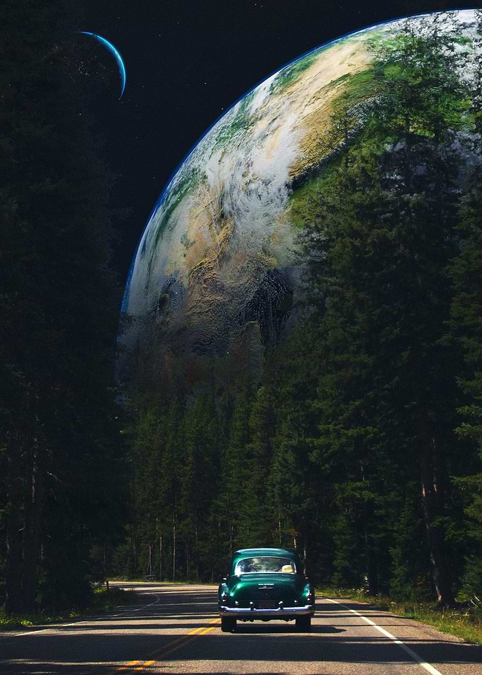 FOREST DRIVE