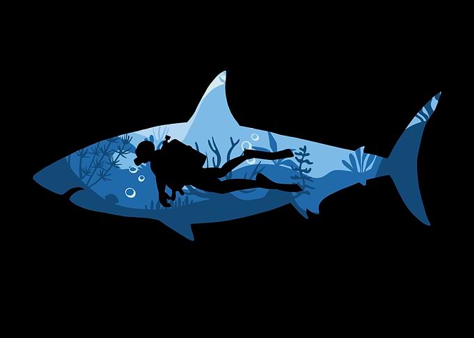 Scuba Diving Shark