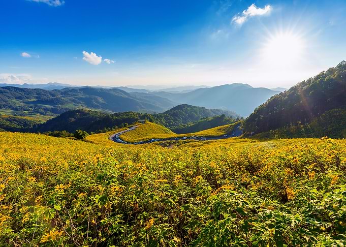 Landscapes