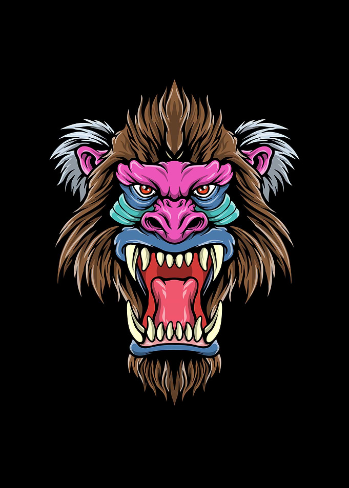 Head of baboon