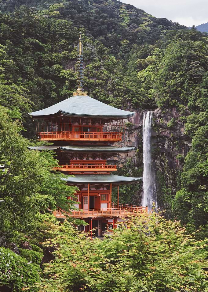 Temple in a Jungle