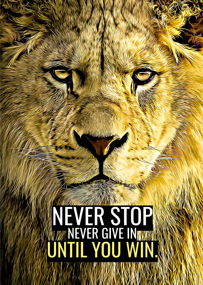 Never Stop Never Give In