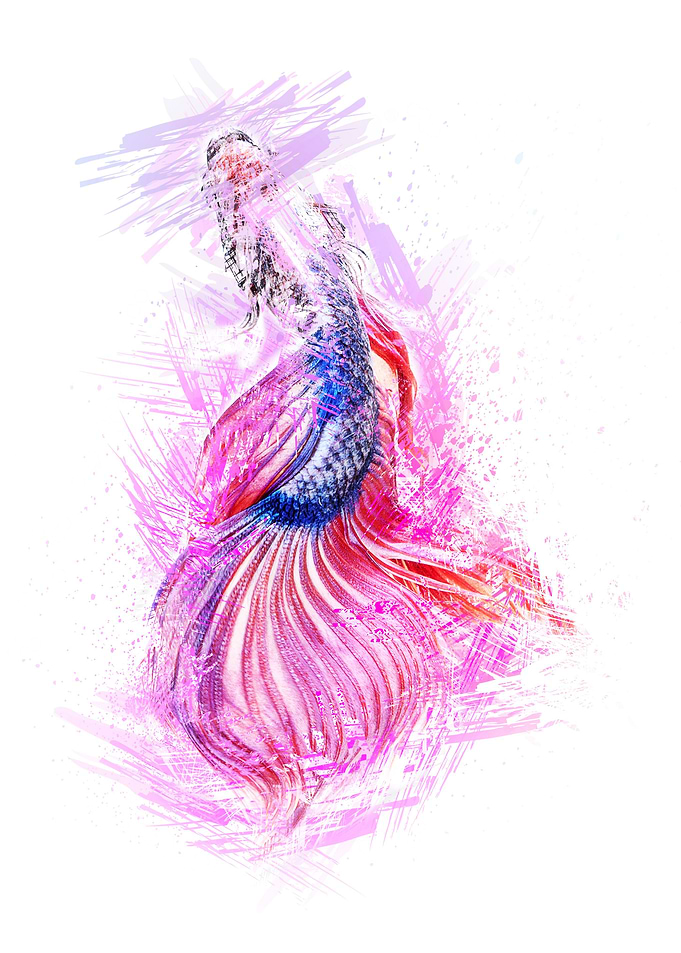 Beautiful Fish