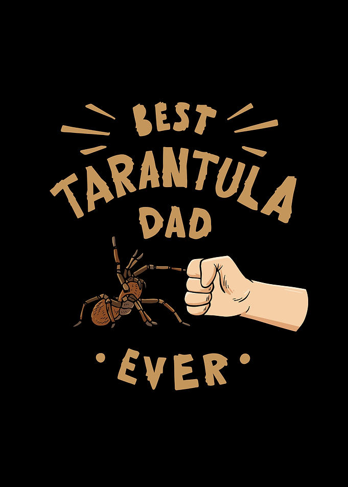 Tarantula Terrarium Design