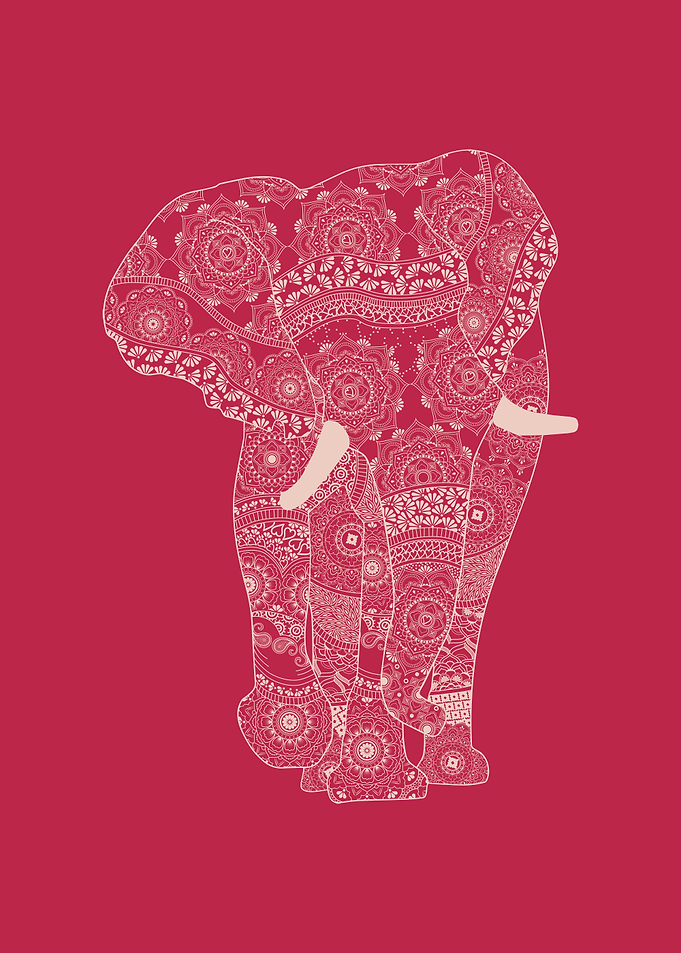 Viva Majestic Elephants 4