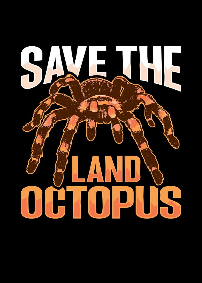 Tarantula Terrarium Design