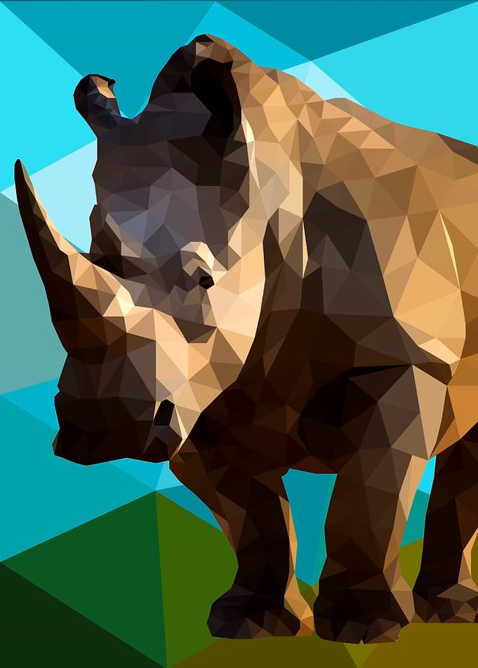 Rhino