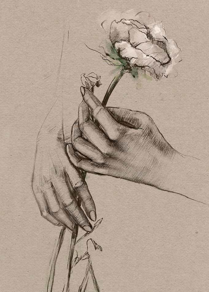 White rose