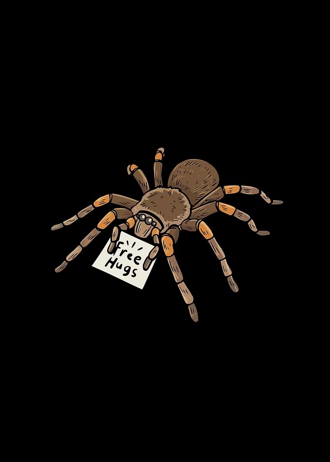 Tarantula Terrarium Design