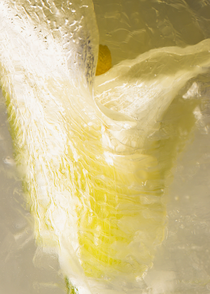 White calla in ice 1