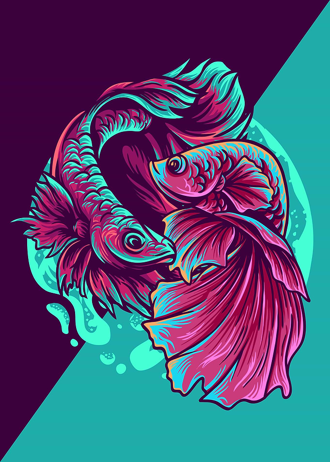 Betta fish