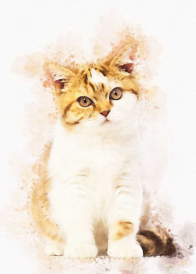 Watercolor Cute Cat