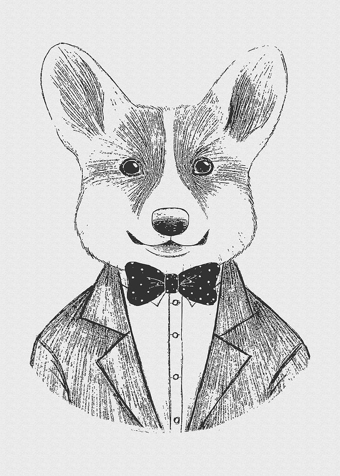 Vintage Animal Fashion