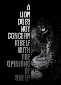 A lion does not concern