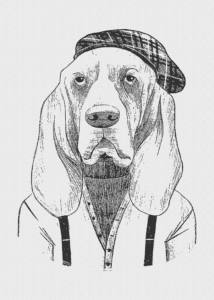Vintage Animal Fashion