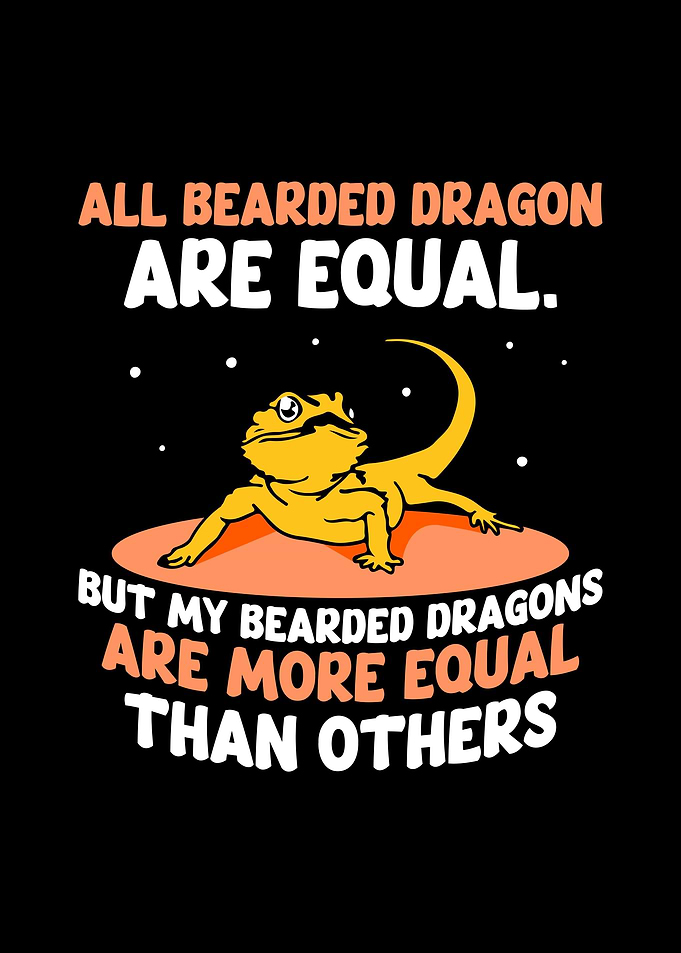 Bearded Dragon
