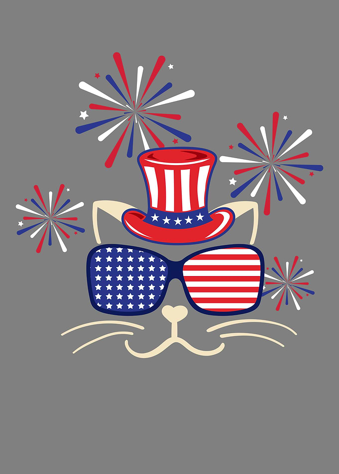 Cute Cat Firecracker 4th