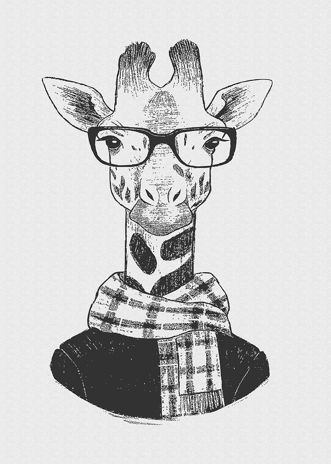 Vintage Animal Fashion
