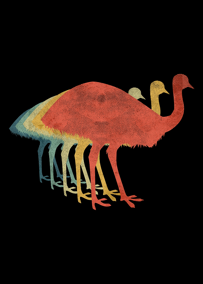 Emu Retro Vintage Color