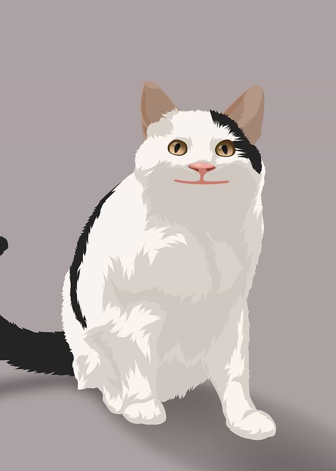 Polite cat meme