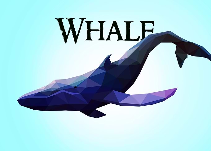 Whale